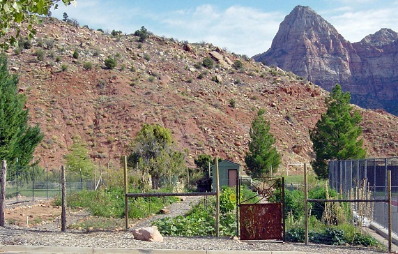 Zion Canyon Community Garden